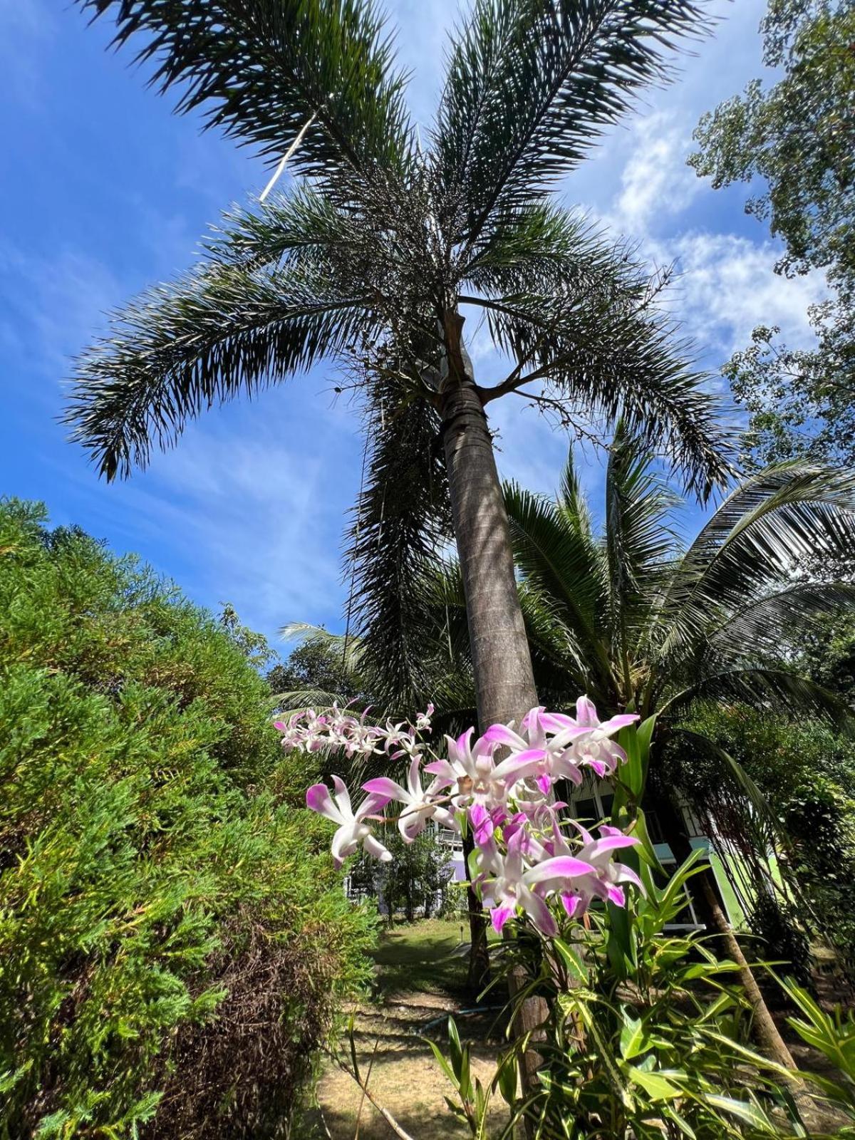 Готель Janzo House Ban Khlong Mat Екстер'єр фото